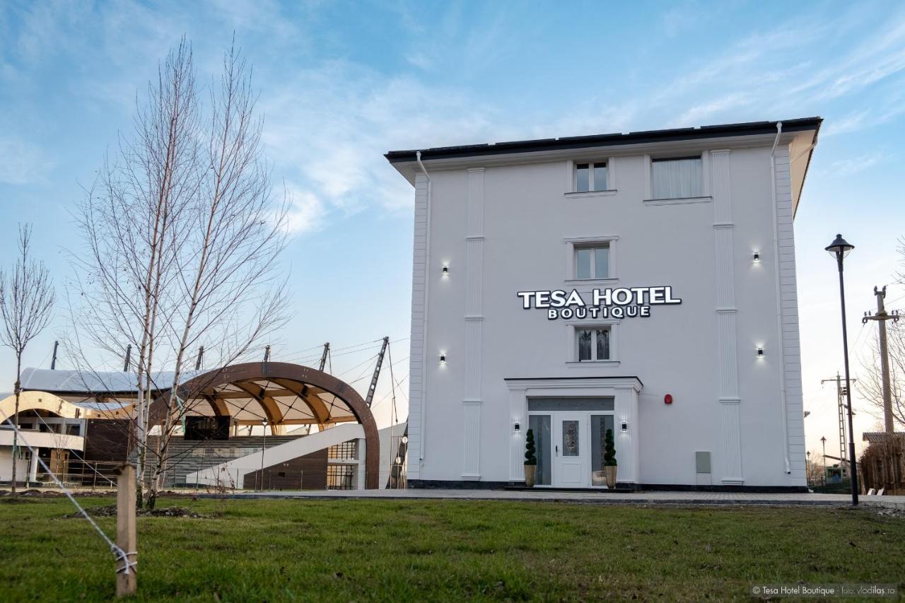 Tesa Boutique Hotel Targu Neamt Exterior foto
